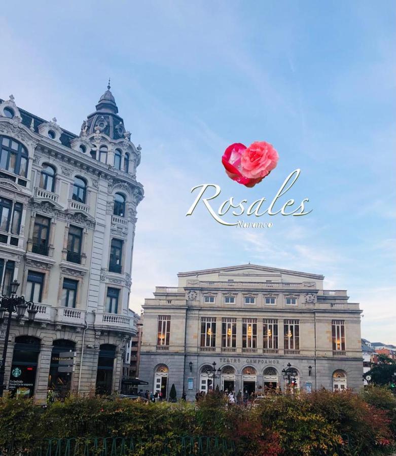 Rosales Y Jardín *