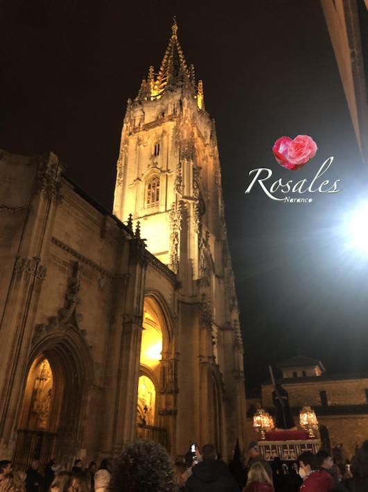 Apartamento Rosales Y Jardín